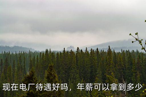 邢臺(tái)電廠工資多少,工資一般是多少