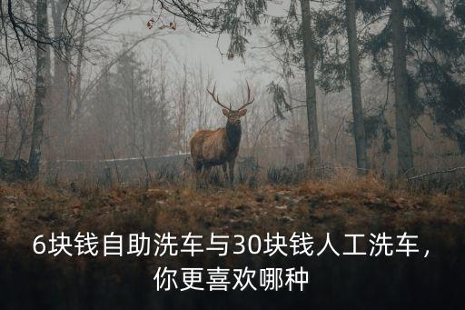 石家莊自助洗車多少錢,自助洗車項(xiàng)目如何