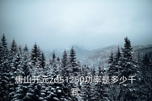 唐山開元ZD5-1250E多少錢,唐山開元zd5