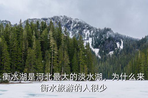 衡水湖的水多少錢一噸,衡水湖的水有哪些來源