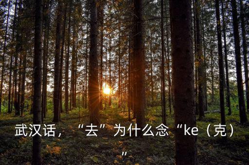 武漢話的救命怎么說,不會說武漢話