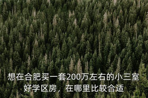 想在合肥買一套200萬左右的小三室好學區房，在哪里比較合適