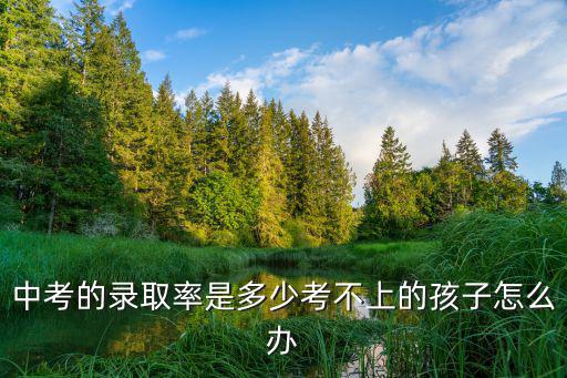 安徽中考各市錄取率是多少,中考的錄取率是多少