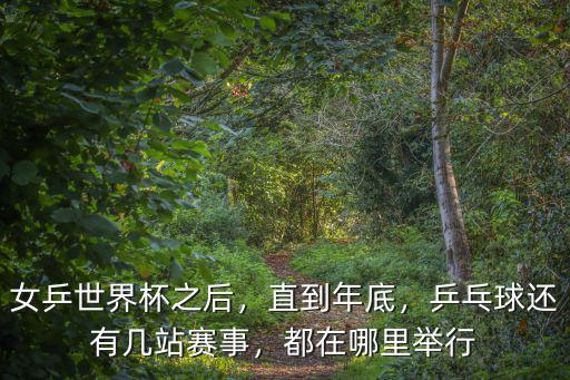 在哪里能看到在成都舉辦的女乒賽,都在哪里舉行