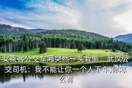 武漢公交司機怎么有名,武漢公交司機