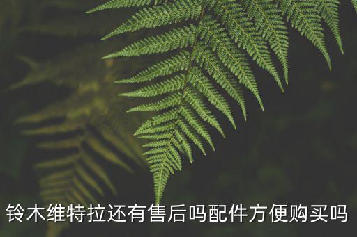 廣元哪里可以保養鈴木維特拉,維特拉的保養貴嗎
