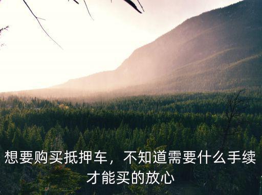 想要購買抵押車，不知道需要什么手續(xù)才能買的放心