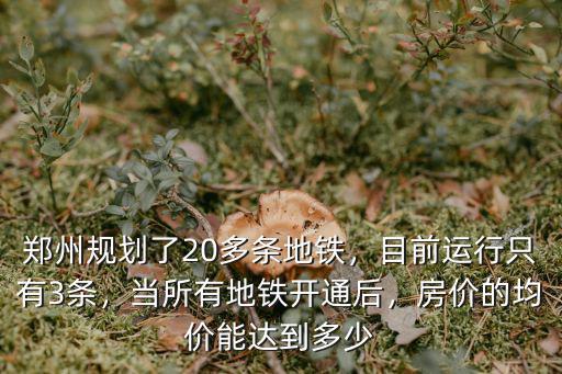 鄭州地鐵2050規劃有多少公里,鄭州規劃了20多條地鐵