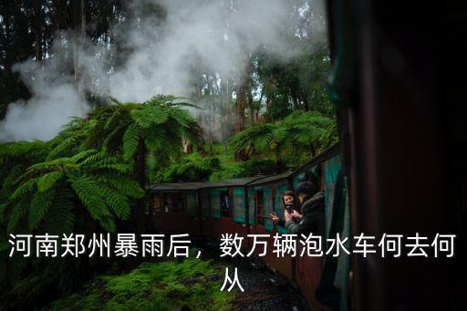 鄭州泡水車國家怎么處理,被泡過的車該怎么處理呢