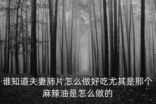 誰知道夫妻肺片怎么做好吃尤其是那個麻辣油是怎么做的
