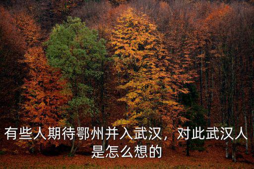 有些人期待鄂州并入武漢，對此武漢人是怎么想的