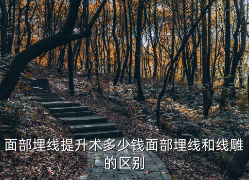 面部埋線提升術多少錢面部埋線和線雕的區別