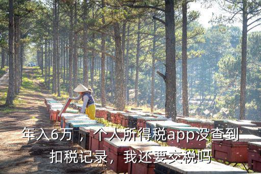 湖北個(gè)稅app怎么查交稅記錄,個(gè)人所得稅記錄怎么查