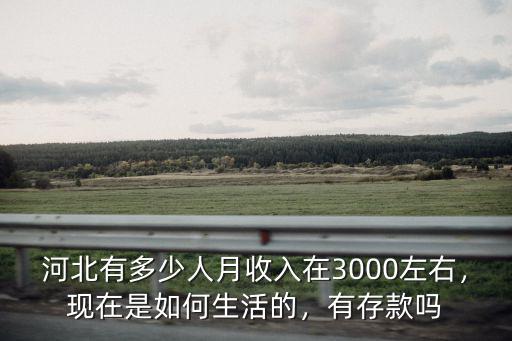 河北有多少人月收入在3000左右，現在是如何生活的，有存款嗎
