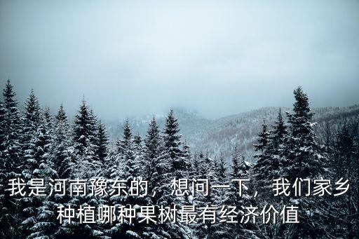河南豫東是哪里,我是河南豫東的