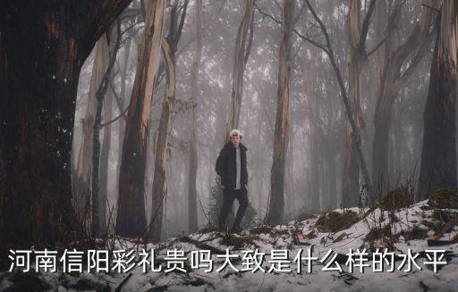 河南信陽的彩禮多少錢,河南信陽彩禮貴嗎