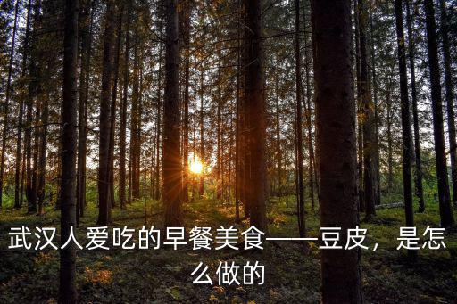 武漢小吃豆腐皮怎么做的,武漢豆腐皮怎么做