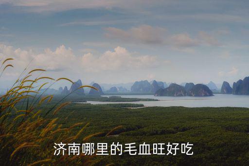 濟南四川菜哪里做的好,濟南哪里的毛血旺好吃