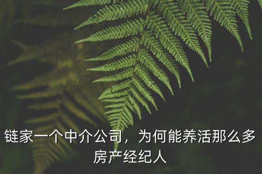 武漢鏈家房產中介公司怎么樣,鏈家一個中介公司