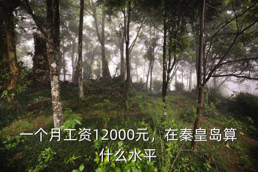 秦皇島2017社平工資多少,秦皇島的平均工資是多少