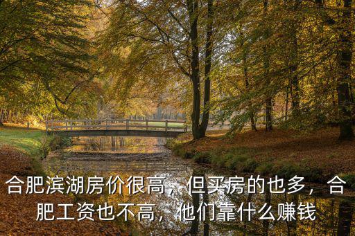 合肥濱湖房價很高，但買房的也多，合肥工資也不高，他們靠什么賺錢
