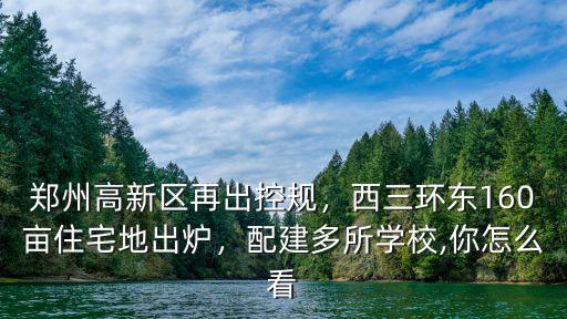 鄭州高新區(qū)小學(xué)學(xué)校有多少,鄭州高新區(qū)再出控規(guī)