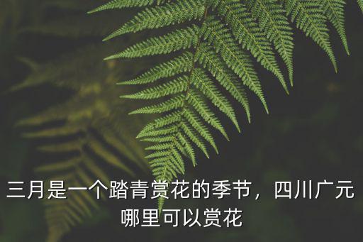 三月是一個(gè)踏青賞花的季節(jié)，四川廣元哪里可以賞花