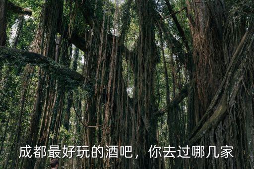 成都廢墟酒吧在哪里拍照,四川成都酒吧都集中在哪里
