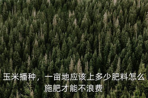 玉米播種，一畝地應該上多少肥料怎么施肥才能不浪費