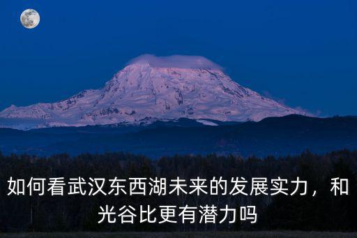 如何看武漢東西湖未來的發(fā)展實力，和光谷比更有潛力嗎