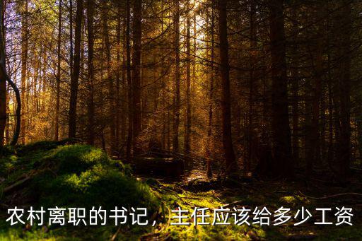 農村離職的書記，主任應該給多少工資