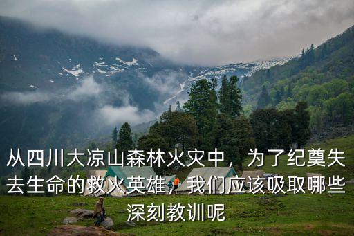 大涼山救火英雄都是哪里人,消防員都是救火英雄