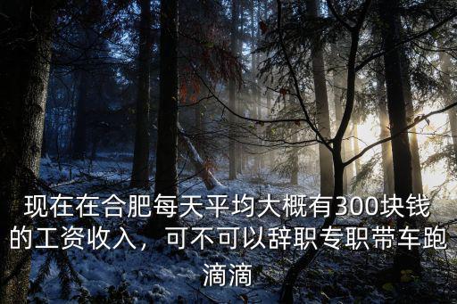 現在在合肥每天平均大概有300塊錢的工資收入，可不可以辭職專職帶車跑滴滴