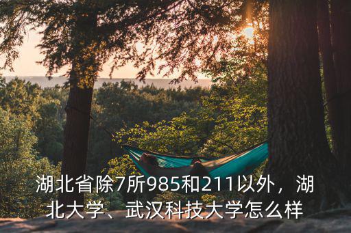 湖北省除7所985和211以外，湖北大學、武漢科技大學怎么樣