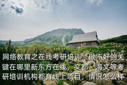 網絡教育之在線考研培訓，做不好的關鍵在哪里新東方在線，文都、海文等考研培訓機構都有線上項目，情況怎么樣