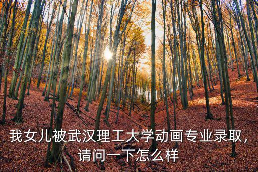 我女兒被武漢理工大學動畫專業錄取，請問一下怎么樣