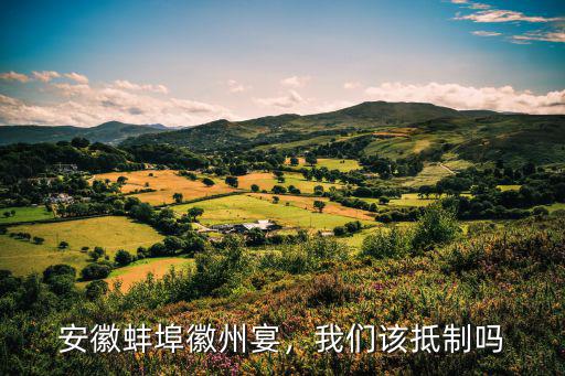 蚌埠徽州宴損失多少,安徽蚌埠徽州宴