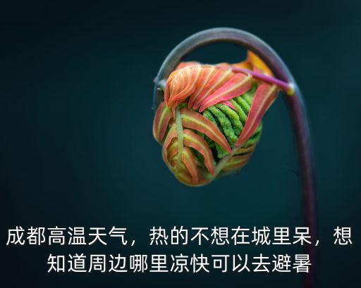 成都高溫天氣，熱的不想在城里呆，想知道周邊哪里涼快可以去避暑