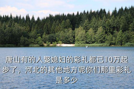 河北曲周彩禮是多少,你們那里彩禮是多少