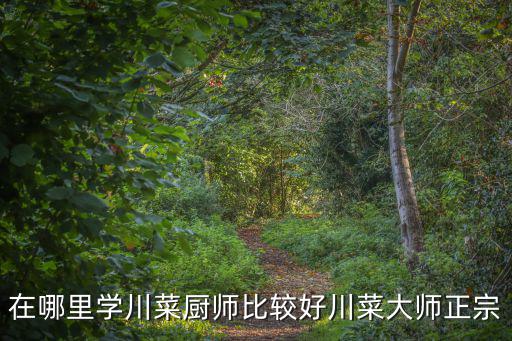 成都哪里有招廚師學徒工,我外甥想在成都學廚師