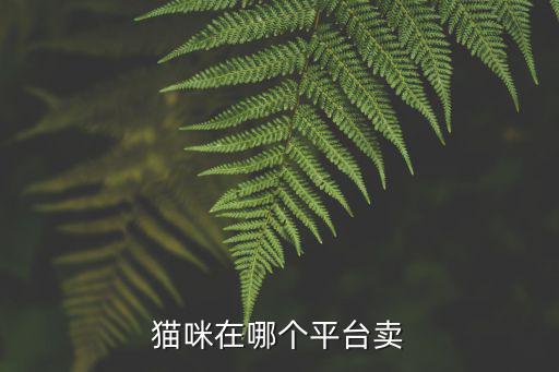 遂寧賣貓咪的地方在哪里,貓咪在哪個平臺賣
