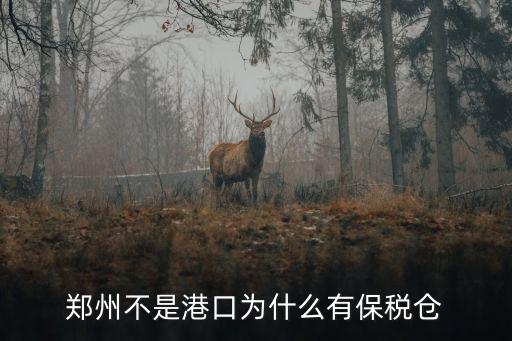 聚美鄭州保稅倉在哪里,在菜鳥保稅倉發(fā)貨