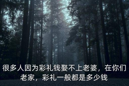 廊坊娶老婆多少錢,很多人因為彩禮錢娶不上老婆