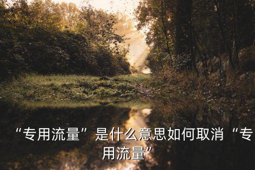 湖北專用型流量怎么,如何取消專用流量