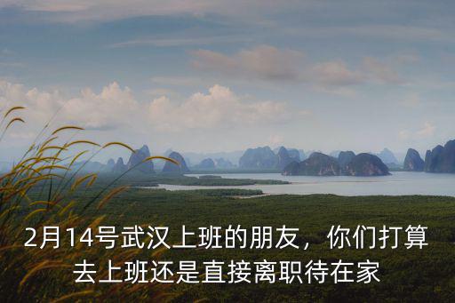 武漢14號(hào)沒(méi)車(chē)怎么去上班,2月14號(hào)武漢上班的朋友