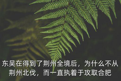 東吳有了荊州怎么不北伐,為什么不從荊州北伐