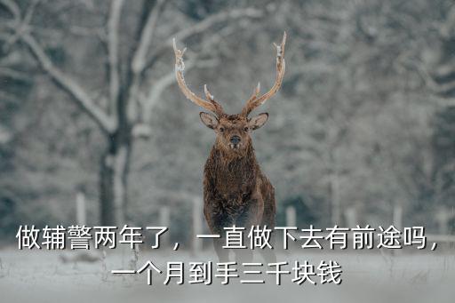 做輔警兩年了，一直做下去有前途嗎，一個月到手三千塊錢