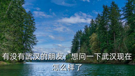武漢第一批支援者現(xiàn)在怎么樣,想問一下武漢現(xiàn)在怎么樣了