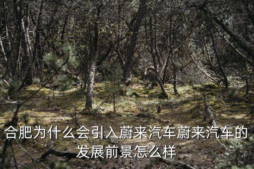 合肥為什么會(huì)引入蔚來汽車蔚來汽車的發(fā)展前景怎么樣