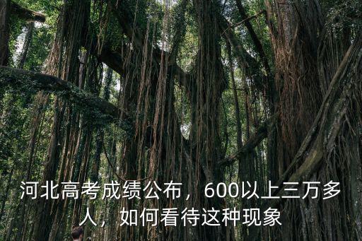 2015河北600分多少人,今年河北高考最高分多少